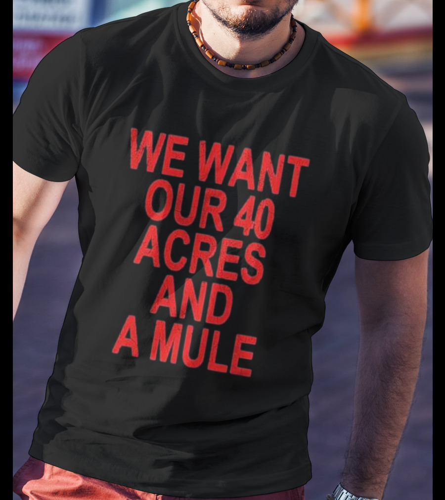 Spike Lee We Want Our 40 Acres And A Mule T-Shirt