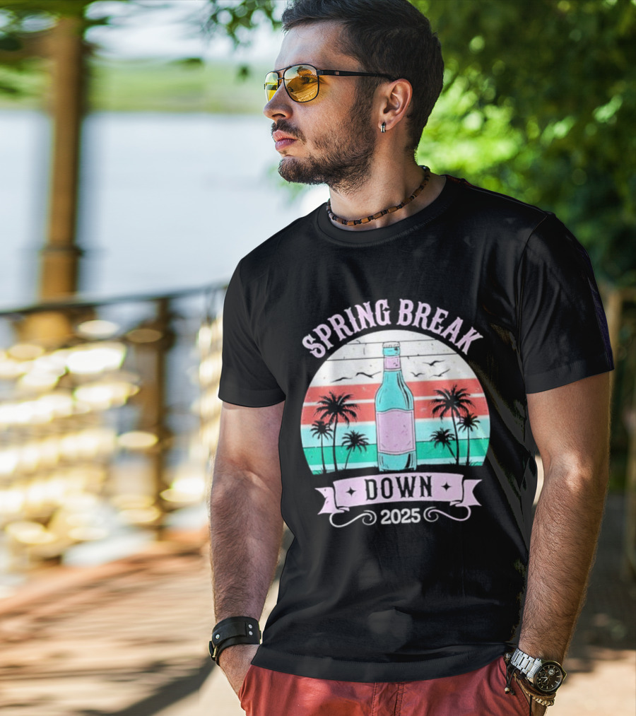 Spring Break Down 2025 Bottle Palms Retro Stripes Vintage Vibe T-Shirt