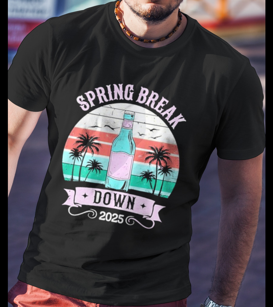 Spring Break Down 2025 Bottle Palms Retro Stripes Vintage Vibe T-Shirt