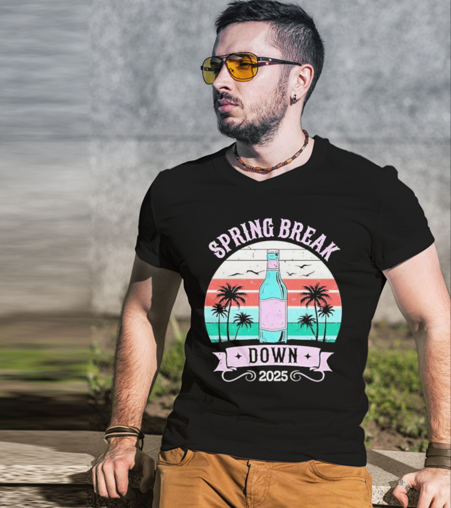 Spring Break Down 2025 Bottle Palms Retro Stripes Vintage Vibe T-Shirt