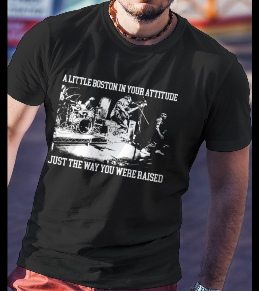 A Little Boston In Your Attitude Just The Way You Were Raised The Menzingers T-Shirt