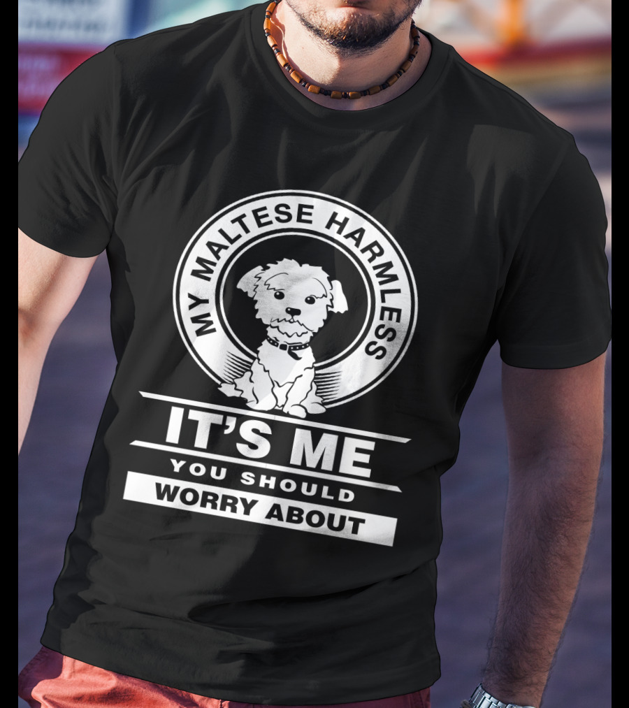 Maltese Dog Lovers My Maltese Harmless It's Me You Should Worry About T-Shirt