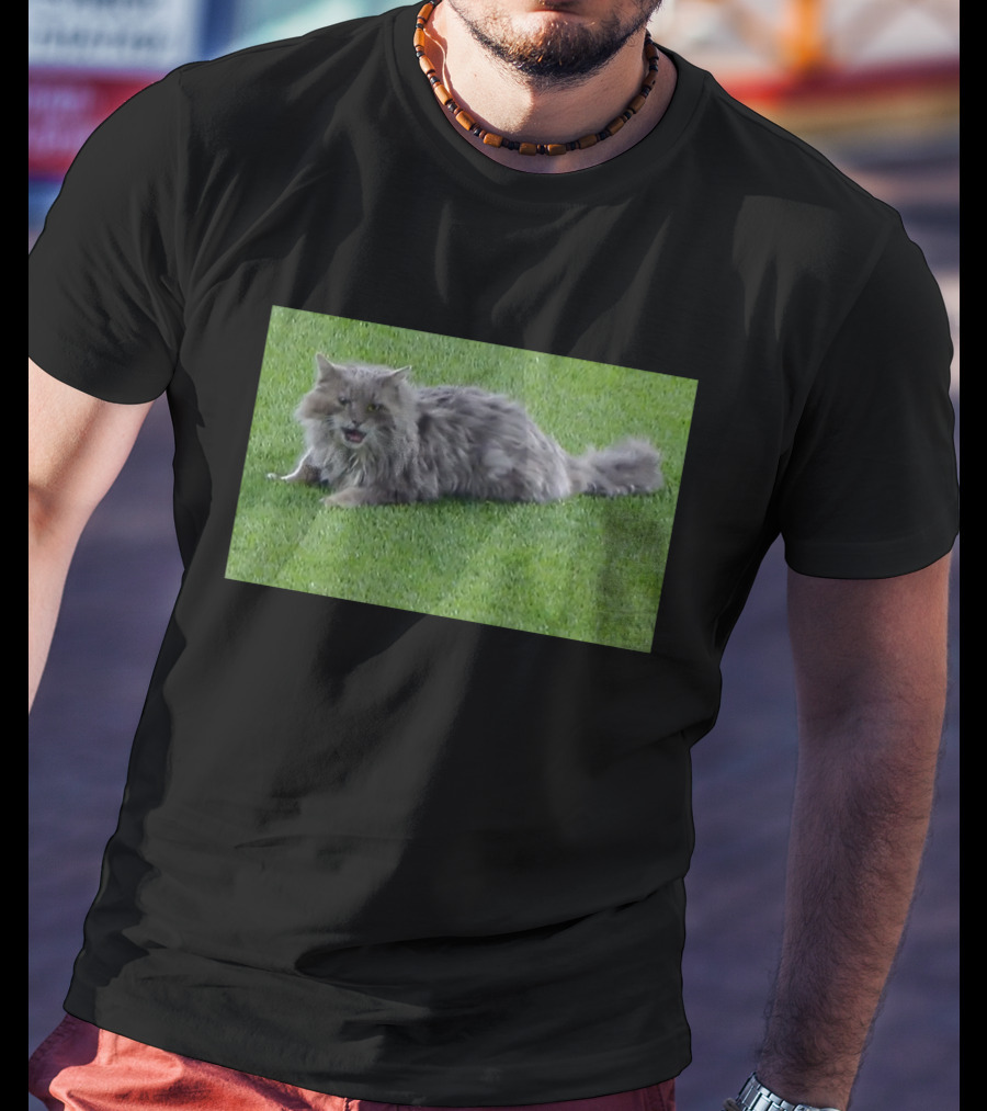 Cat Stops Play At Los Angeles Dodgers Stadium Event T-Shirt