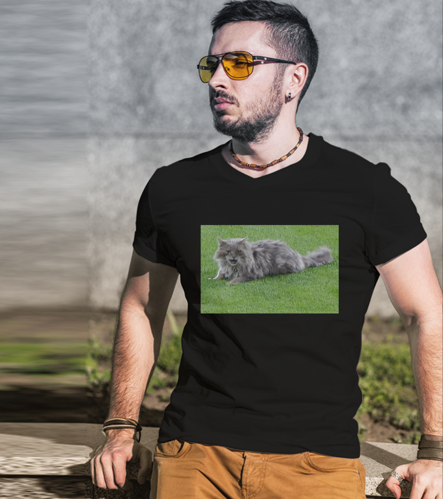 Cat Stops Play At Los Angeles Dodgers Stadium Event T-Shirt