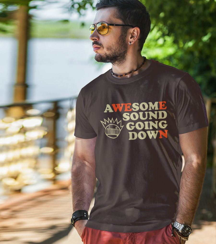Awesome Sound Going Down Ween Boognish T-Shirt