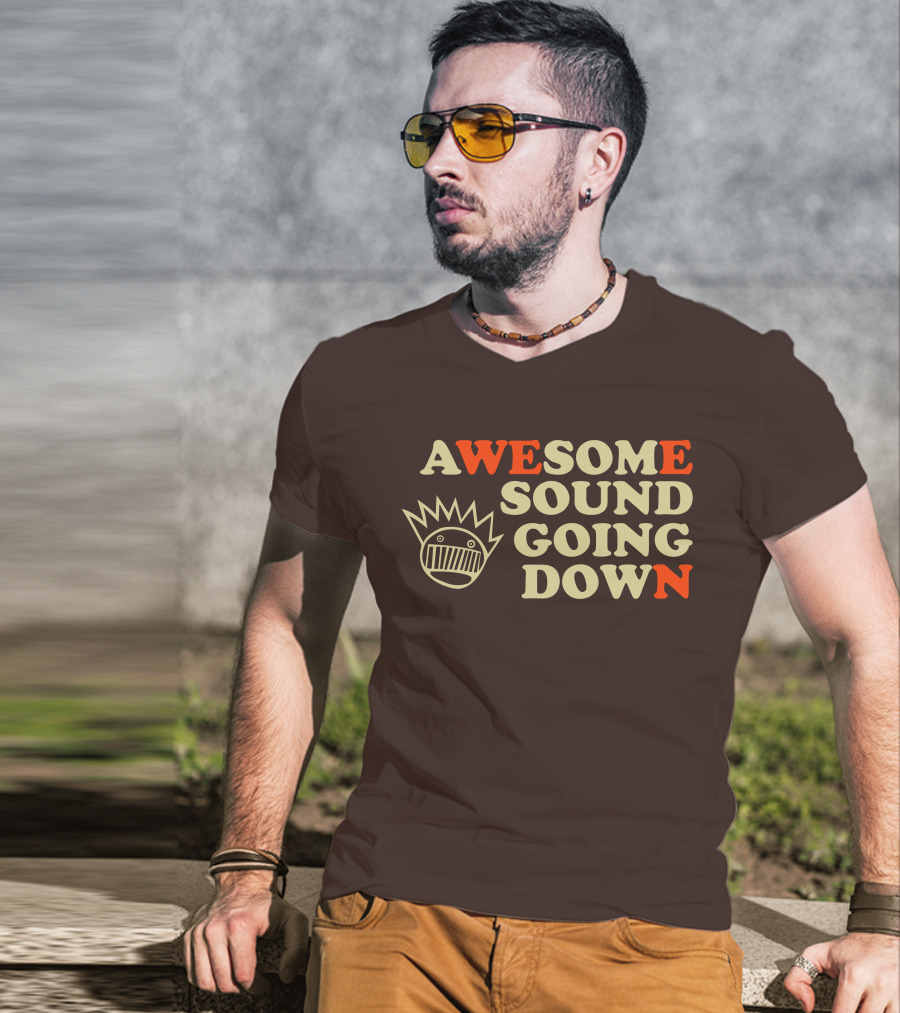 Awesome Sound Going Down Ween Boognish T-Shirt