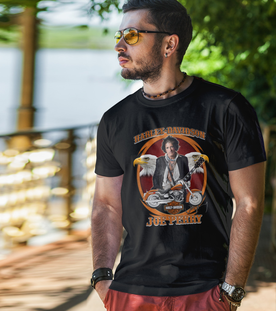 Harley Davidson Motor Cycles Joe Perry Eagles Motorcycle Guitar T-Shirt