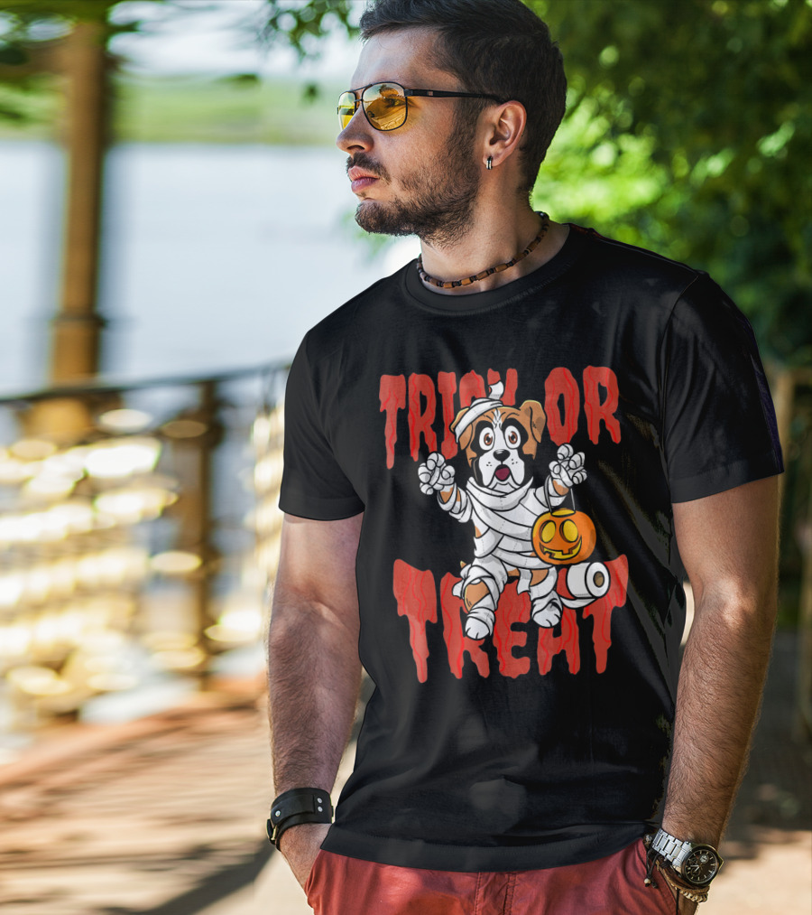 Trick Or Treat Boxer Dog Mummy With Pumpkin And Toilet Paper Rolls T-Shirt