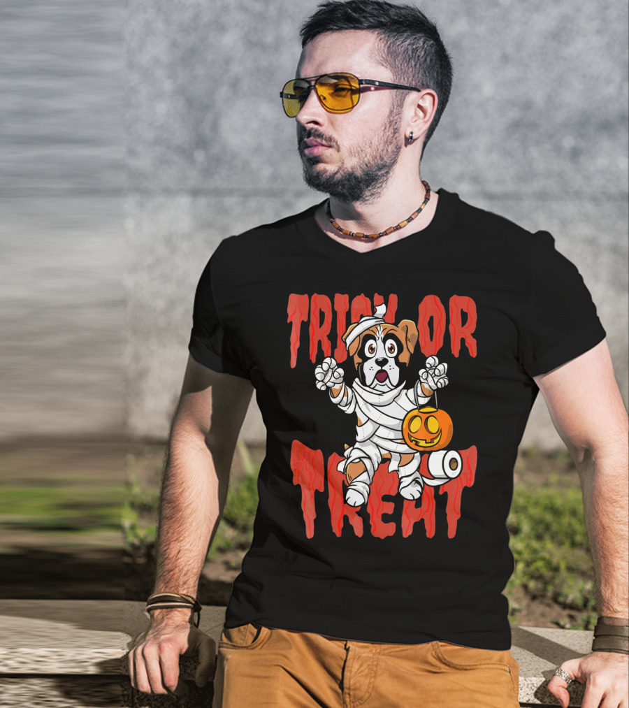 Trick Or Treat Boxer Dog Mummy With Pumpkin And Toilet Paper Rolls T-Shirt