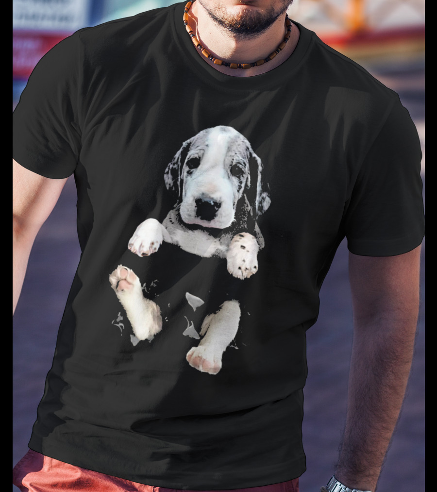 Great Dane Puppy Peeking Out Of Pocket T-Shirt