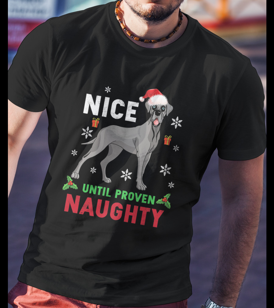 Great Dane Nice Until Proven Naughty Christmas Santa Hat Snowflakes T-Shirt