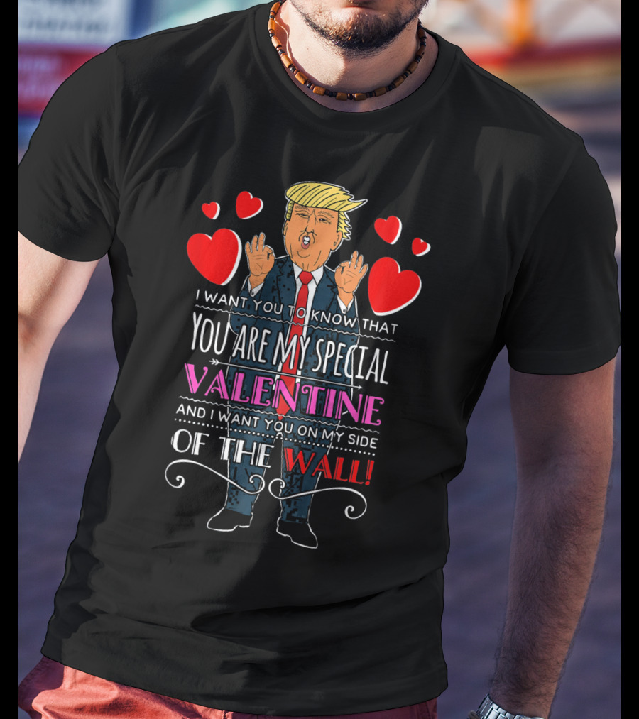You Are My Special Valentine And I Want You On My Side Of The Wall T-Shirt
