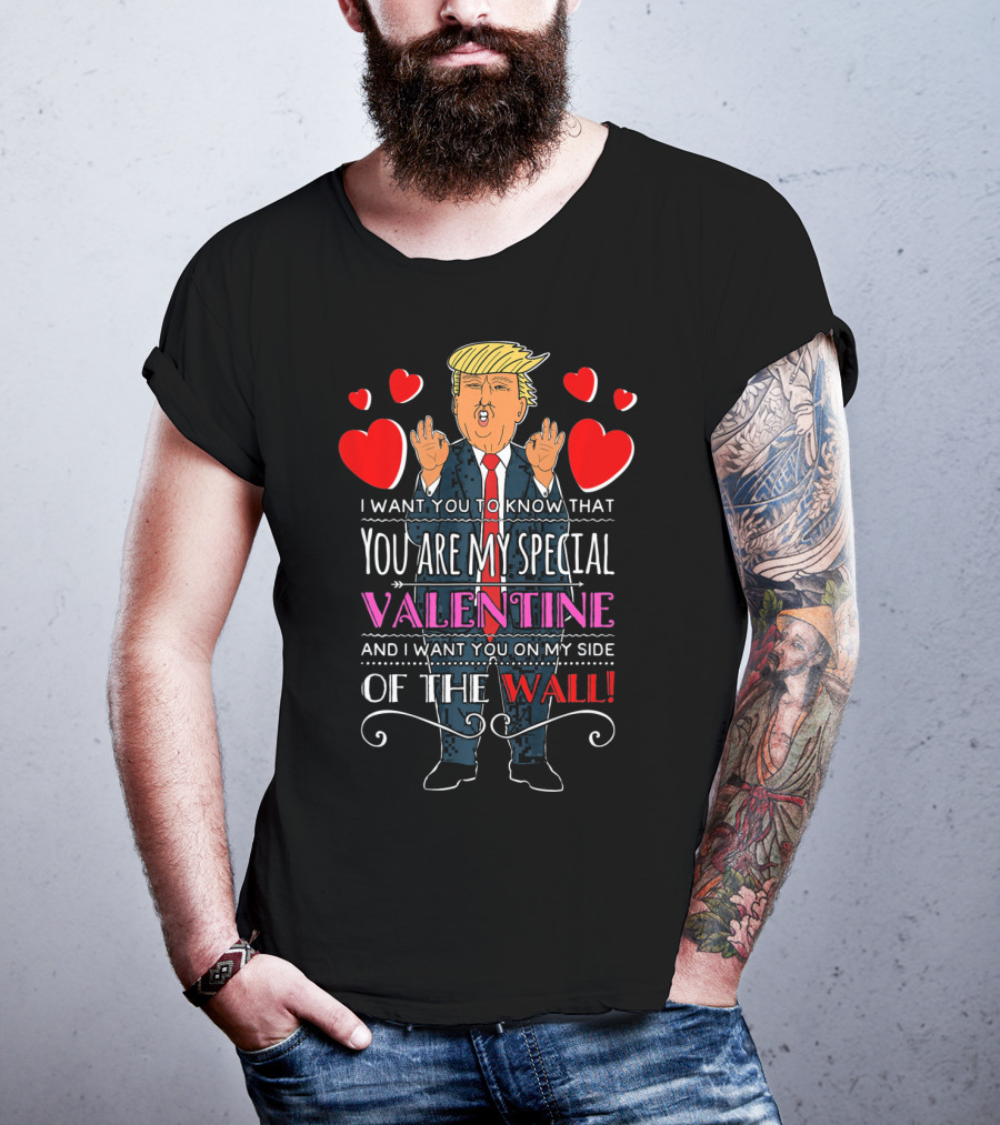 You Are My Special Valentine And I Want You On My Side Of The Wall T-Shirt