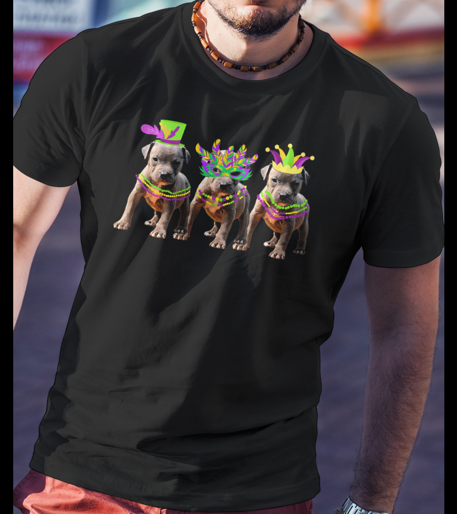 Mardi Gras Pitbull Beads Vintage Costume Trio T-Shirt
