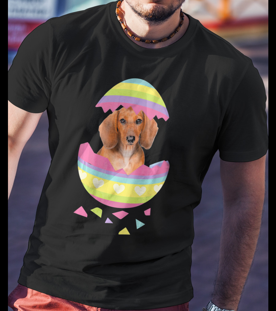 Dachshund In Colorful Easter Egg With Heart Stripes T-Shirt