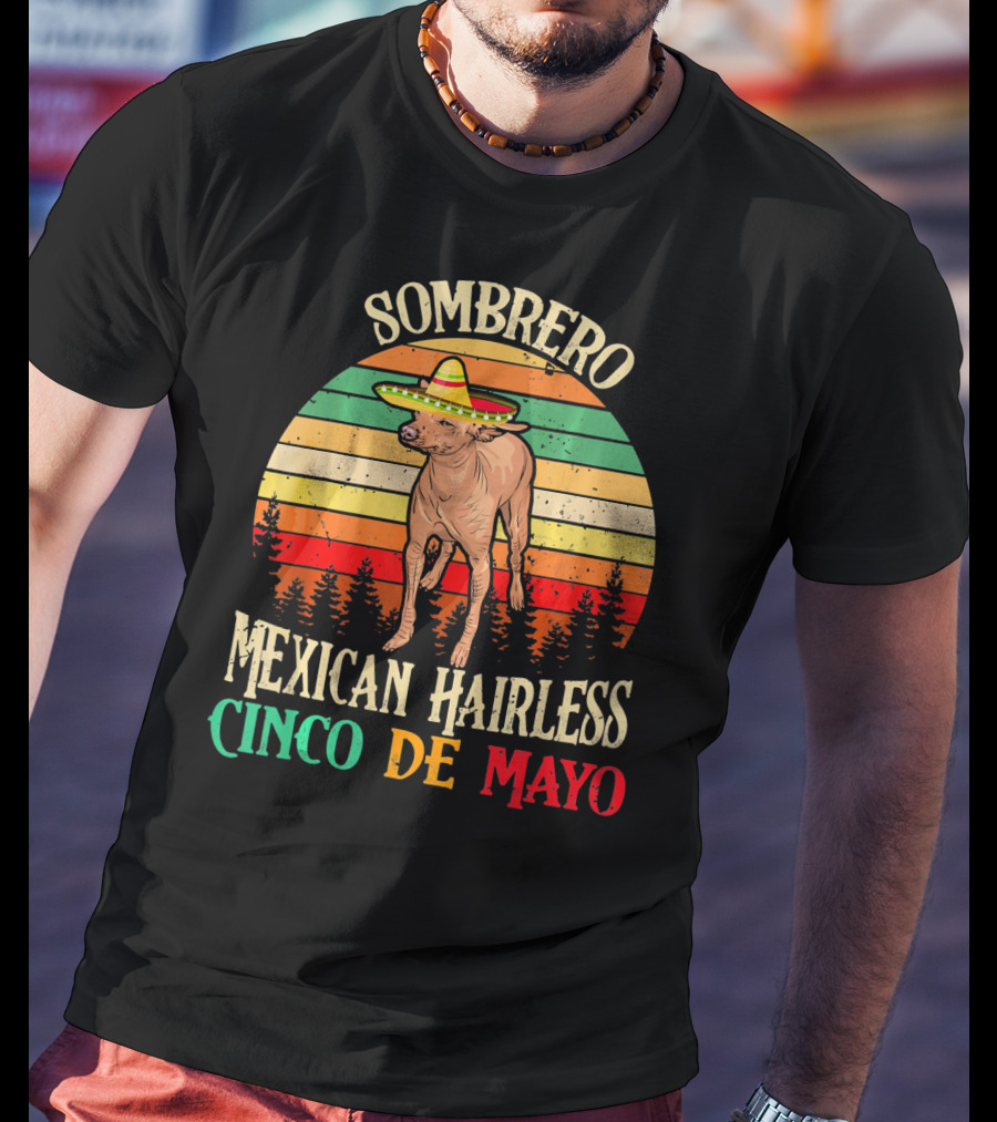Sombrero Mexican Hairless Cinco De Mayo Vintage Sunset T-Shirt
