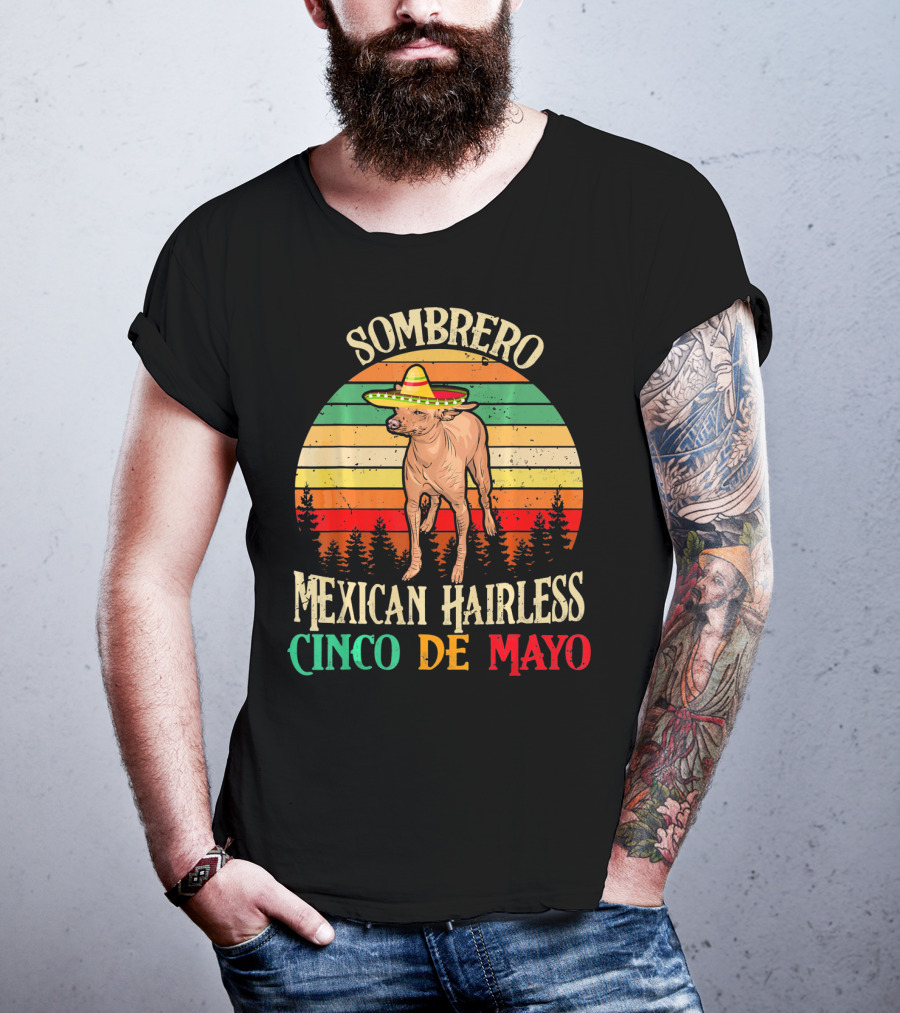 Sombrero Mexican Hairless Cinco De Mayo Vintage Sunset T-Shirt