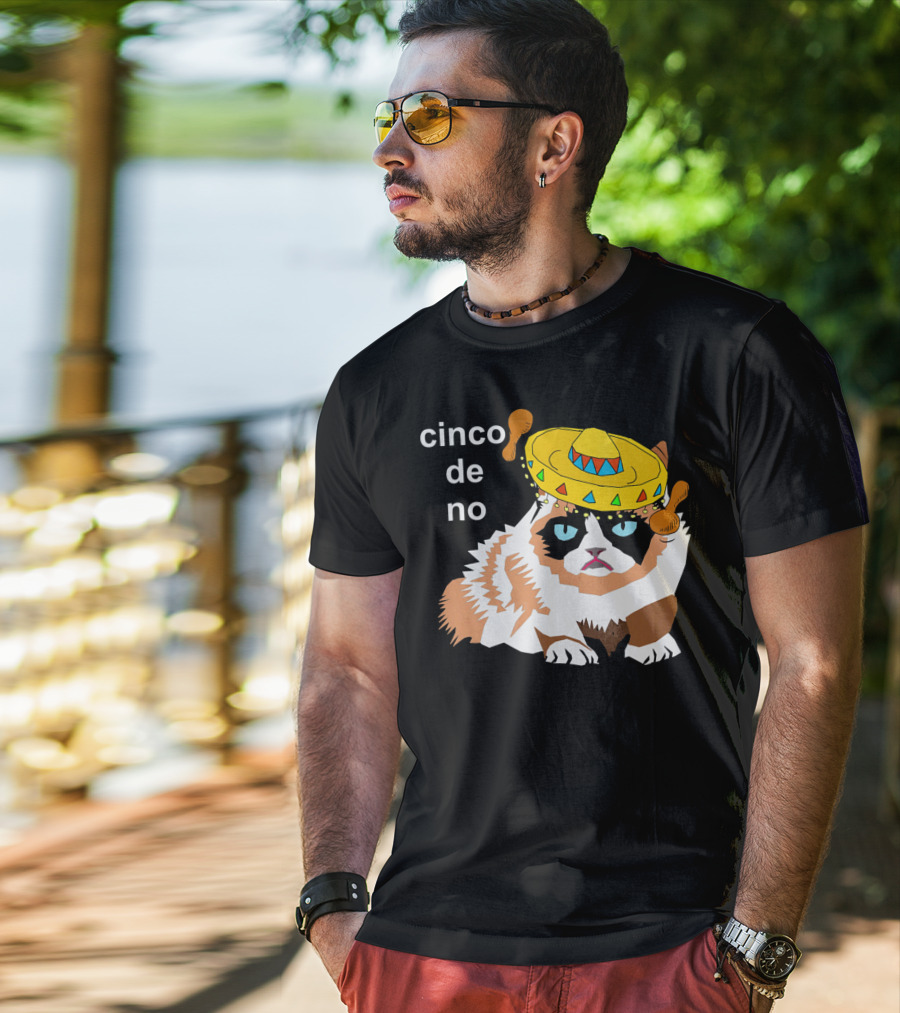 Cinco De No Angry Cat Sombrero Humor T-Shirt