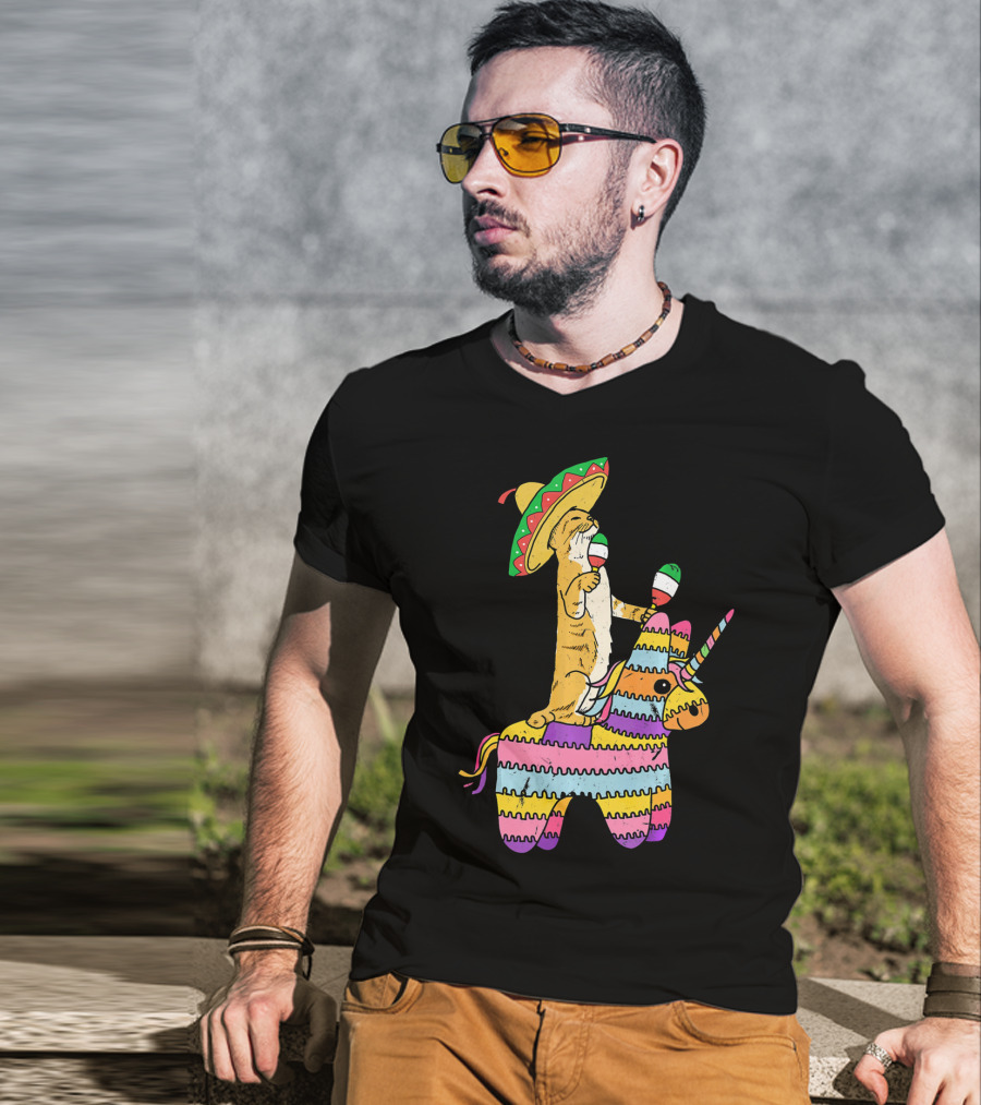 Cinco De Meow Cat Riding Colorful Unicorn Pinata With Sombrero And Maracas T-Shirt