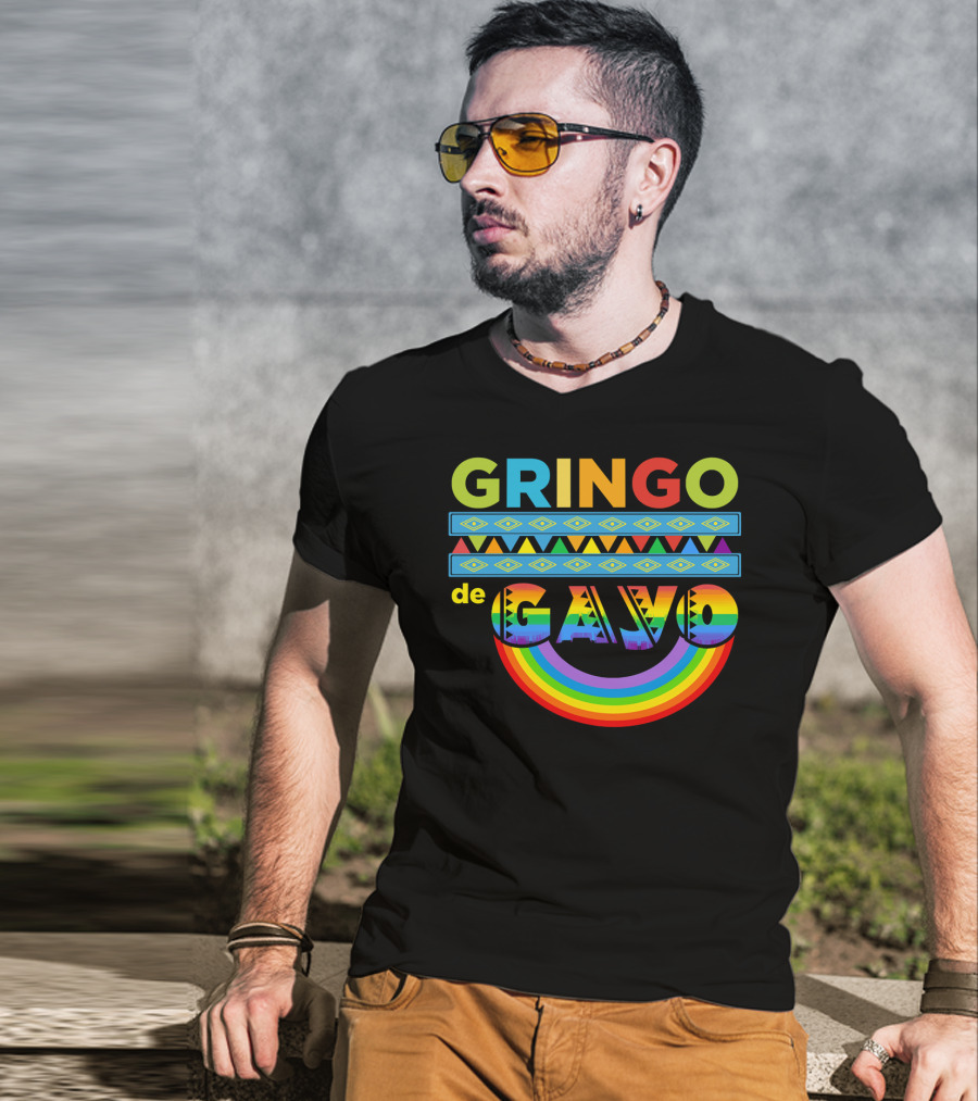Mens Gay Gringo De Gayo Funny Cinco De Mayo LGB Rainbow T-Shirt