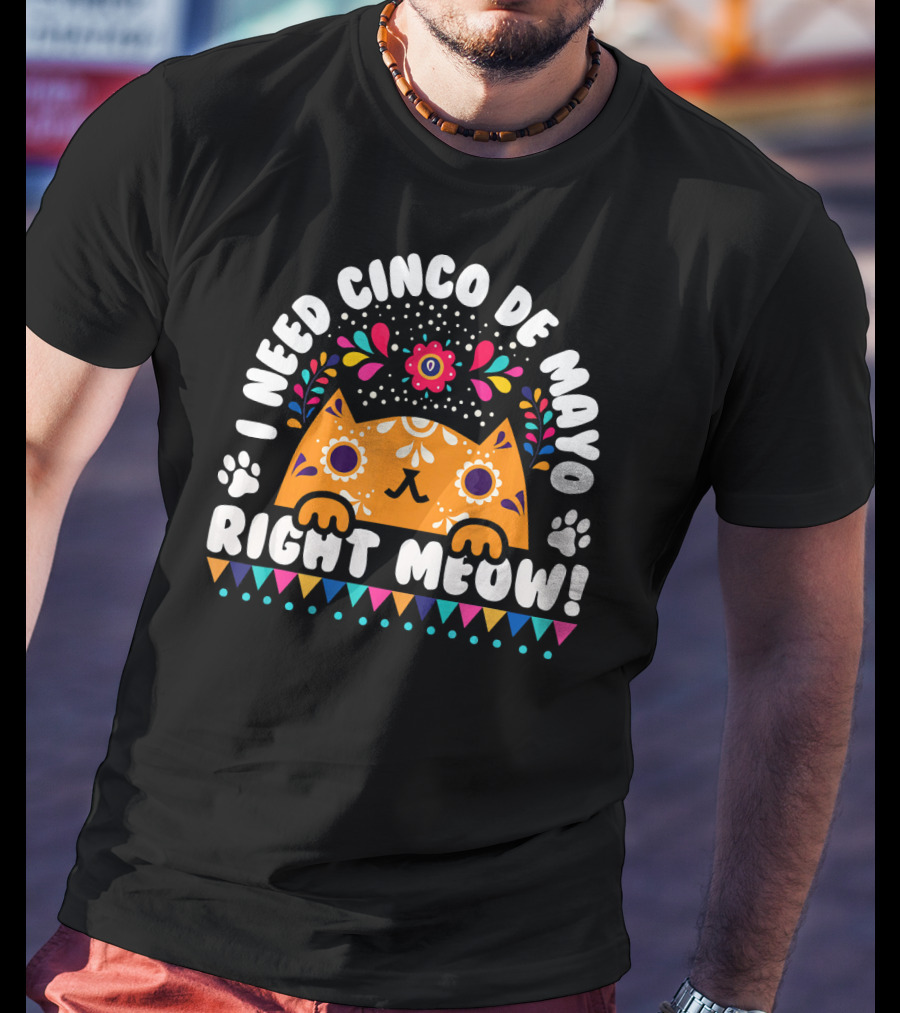 I Need Cinco De Mayo Right Meow Orange Cat Mexican Fiesta T-Shirt