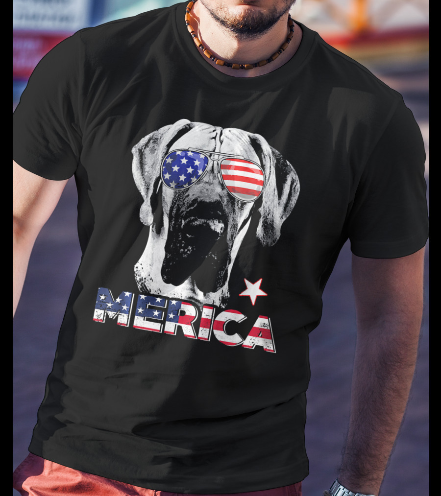 Great Dane 'Merica American Flag Sunglass Star T-Shirt