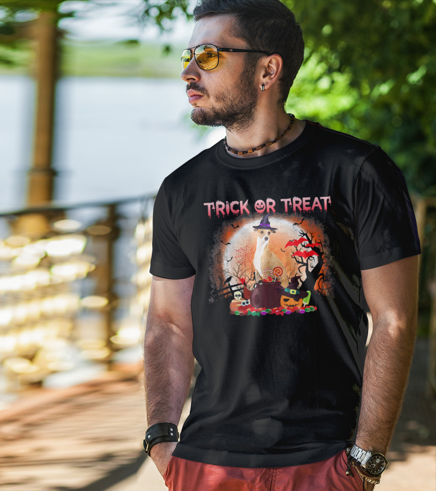 Trick Or Treat Italian Greyhound Halloween Magic Moonlit Scene T-Shirt
