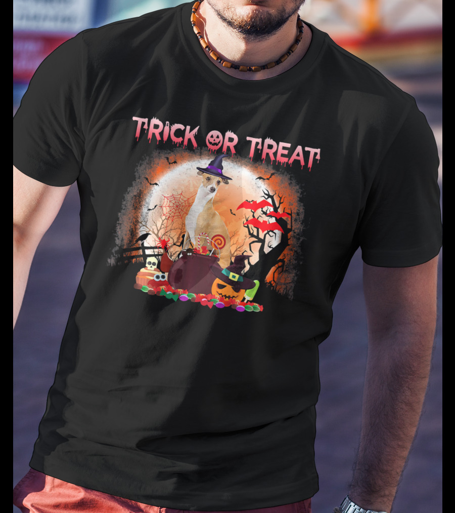 Trick Or Treat Italian Greyhound Halloween Magic Moonlit Scene T-Shirt