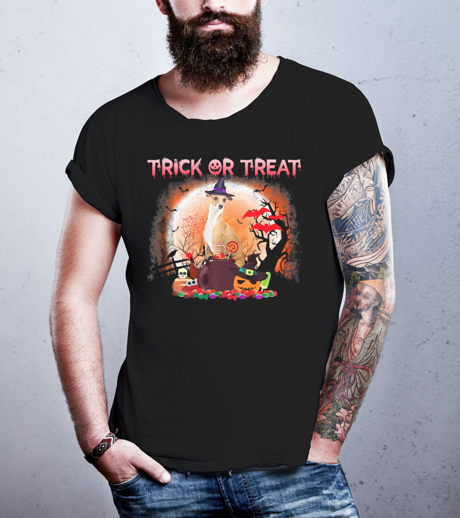 Trick Or Treat Italian Greyhound Halloween Magic Moonlit Scene T-Shirt