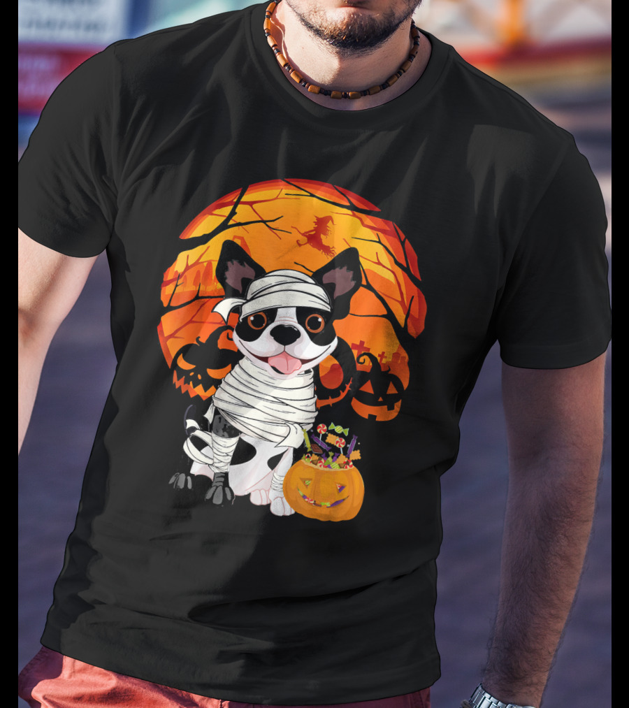 Halloween Kids Boston Terrier Mummy With Pumpkin And Witch T-Shirt