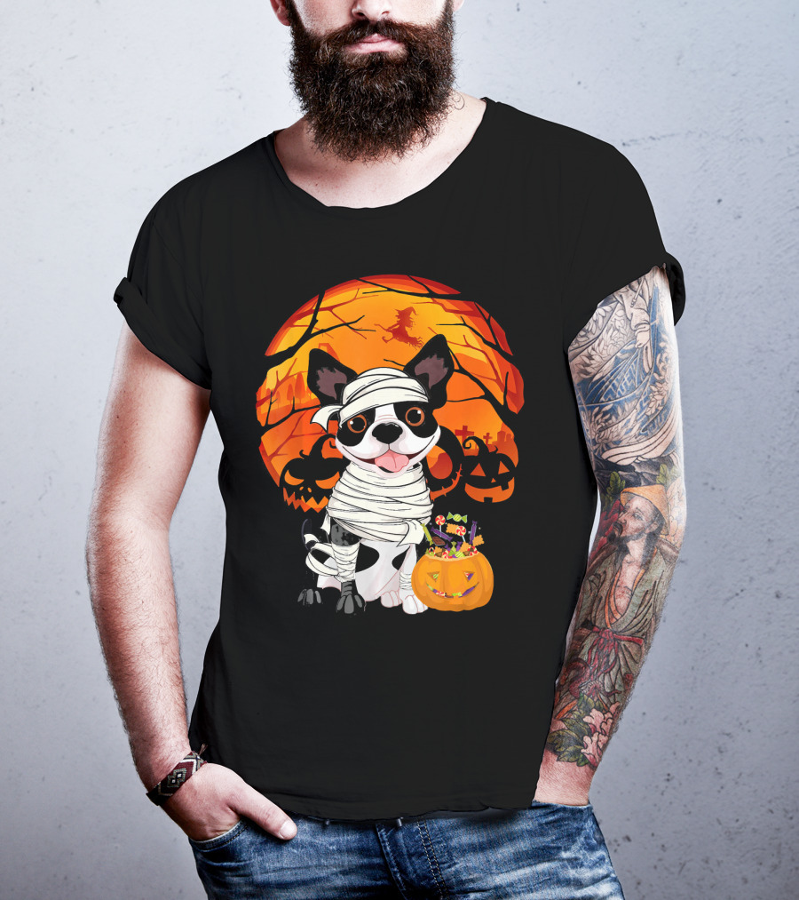 Halloween Kids Boston Terrier Mummy With Pumpkin And Witch T-Shirt
