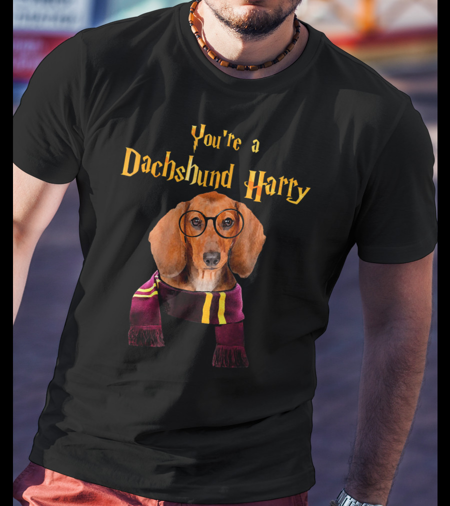 You're A Dachshund Harry T-Shirt