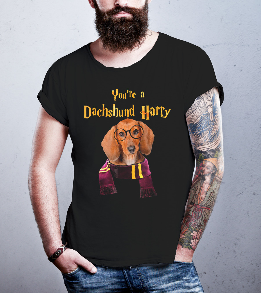 You're A Dachshund Harry T-Shirt