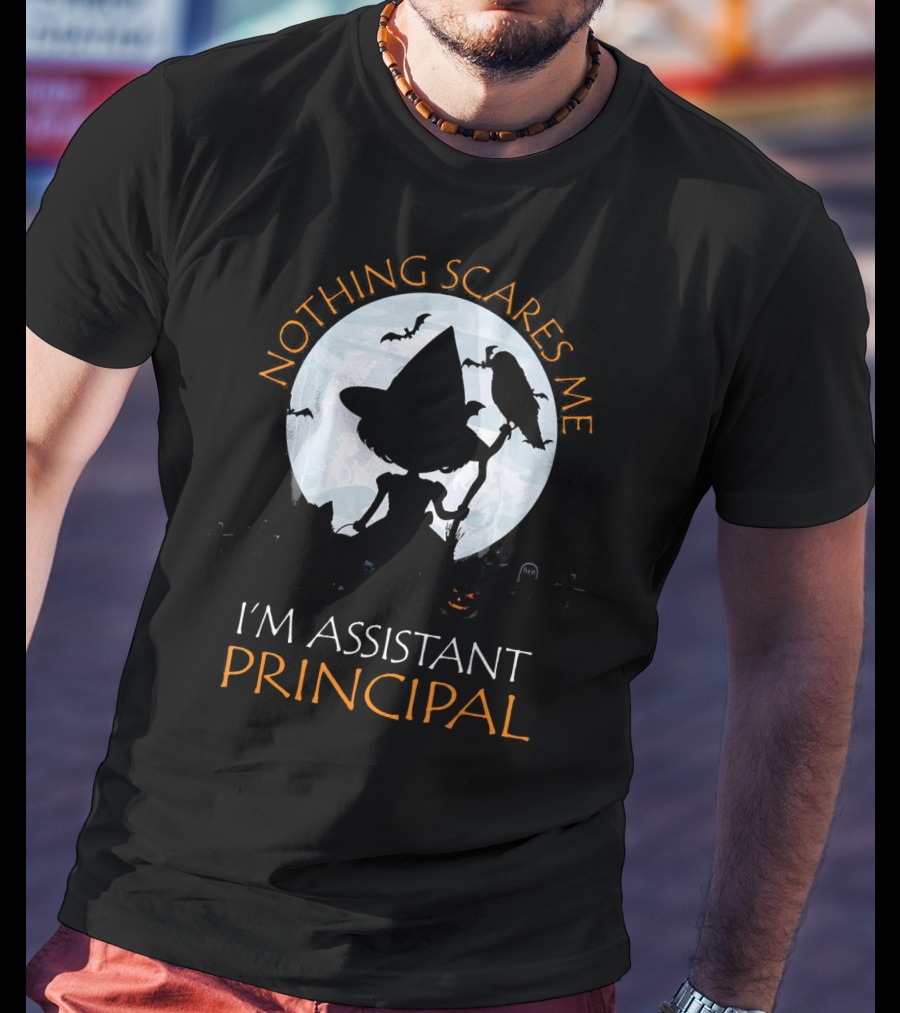 Nothing Scares Me I'm Assistant Principal Witch Moon Ravens T-Shirt