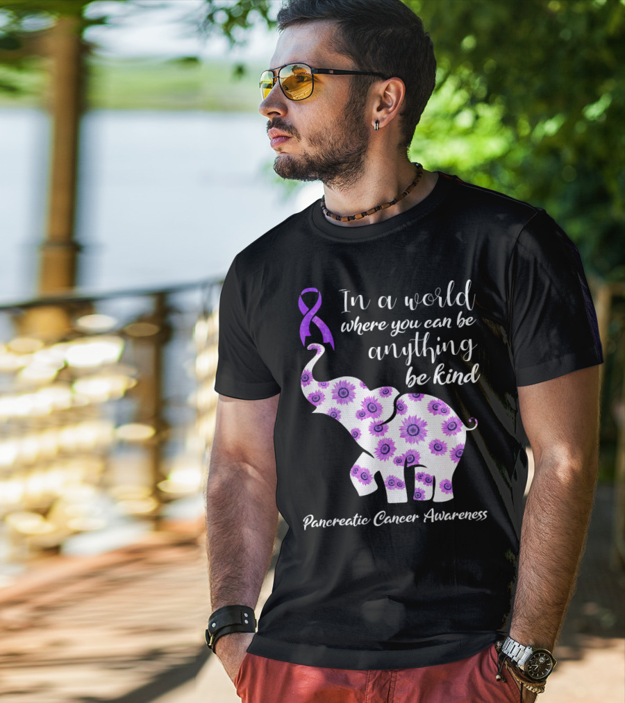 In A World Where You Can Be Anything Be Kind Pancreatic Cancer Awareness T-Shirt