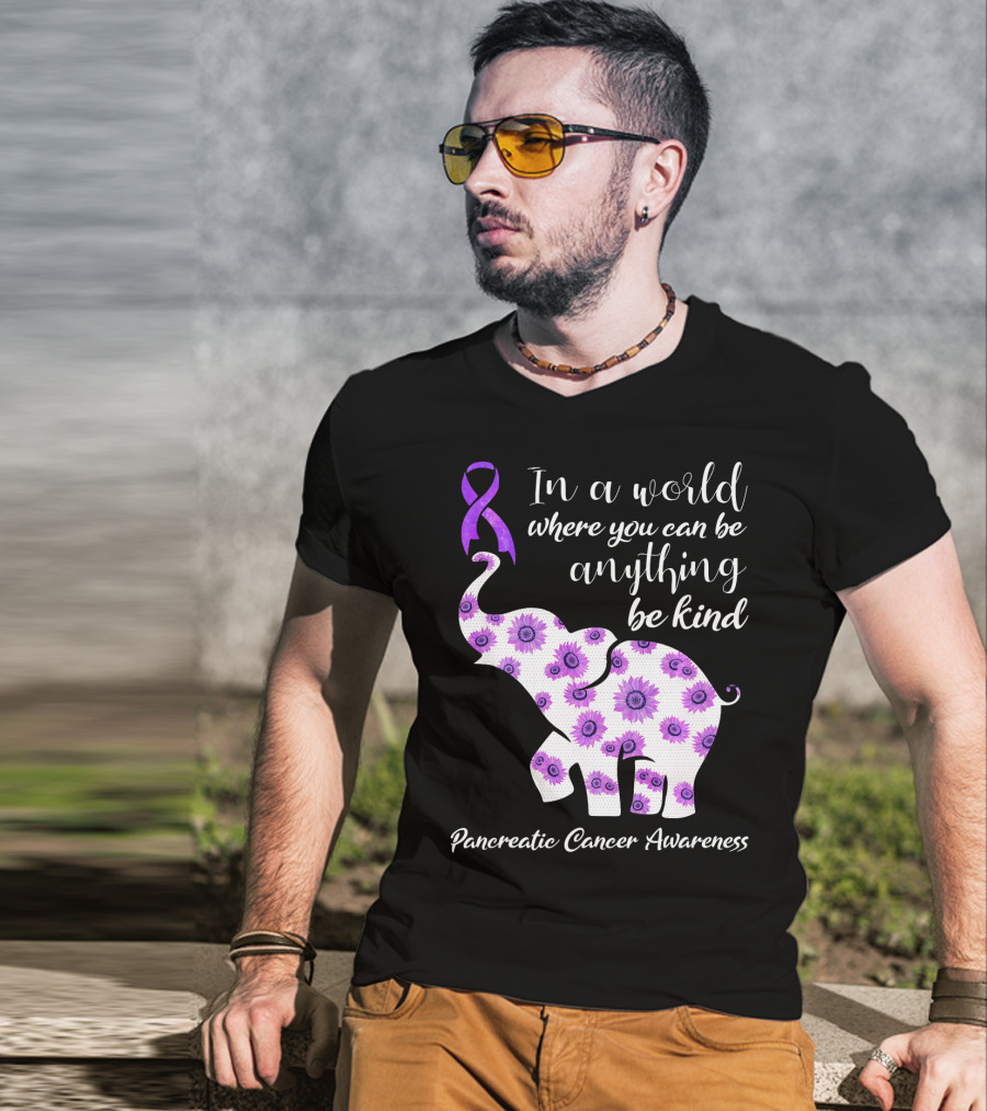 In A World Where You Can Be Anything Be Kind Pancreatic Cancer Awareness T-Shirt