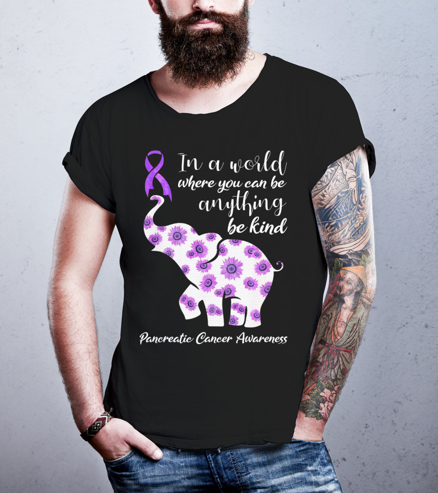 In A World Where You Can Be Anything Be Kind Pancreatic Cancer Awareness T-Shirt