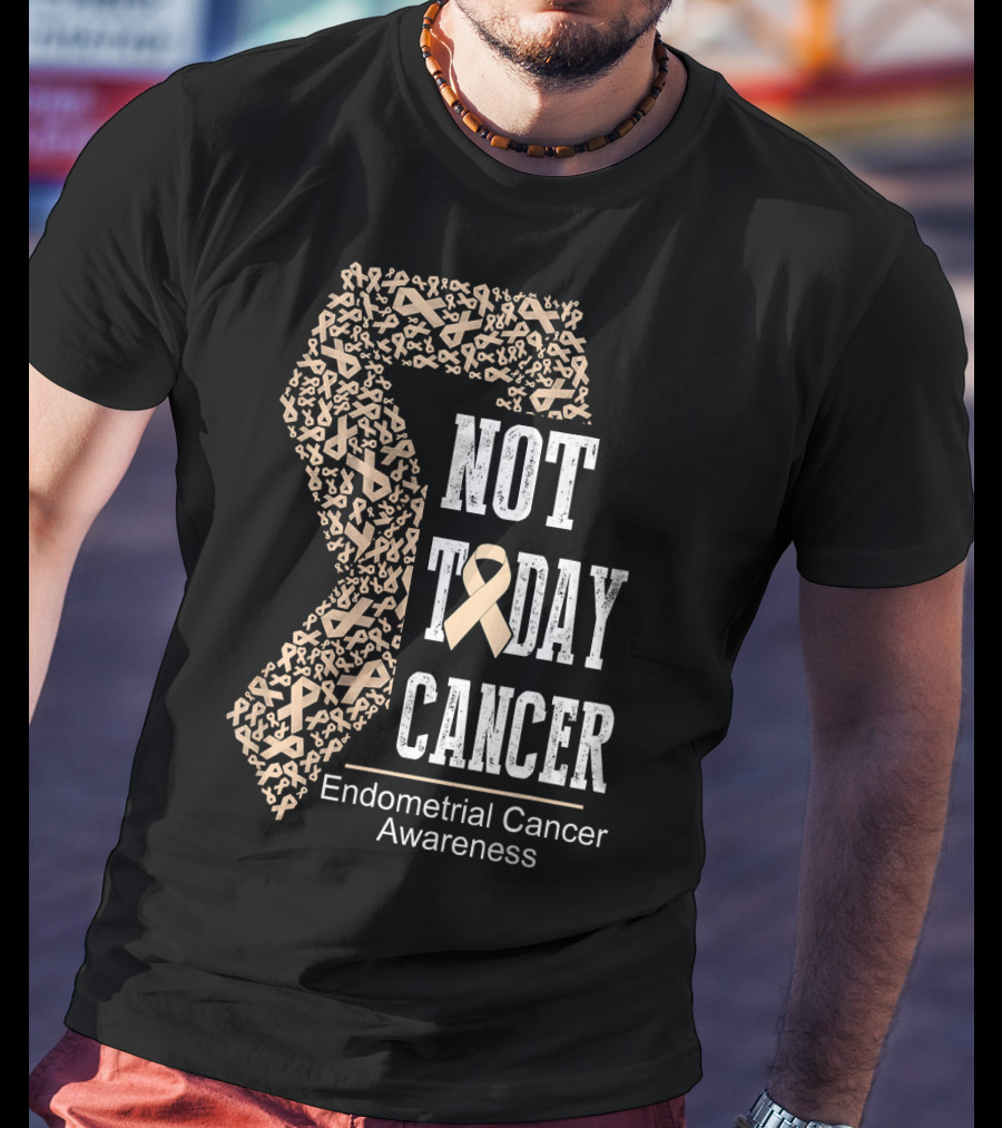 Not Today Cancer Endometrial Cancer Awareness T-Shirt
