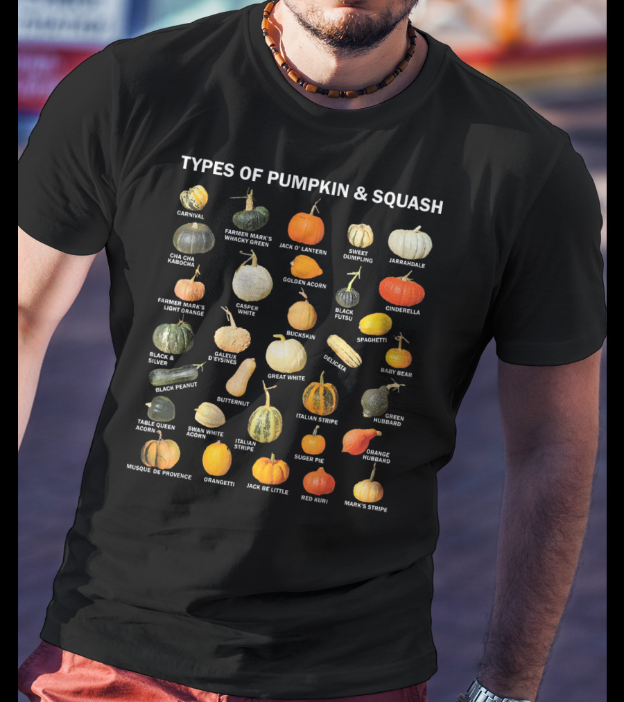 Types Of Pumpkin And Squash Carnival To Mark's Stripe Autumn Harvest T-Shirt