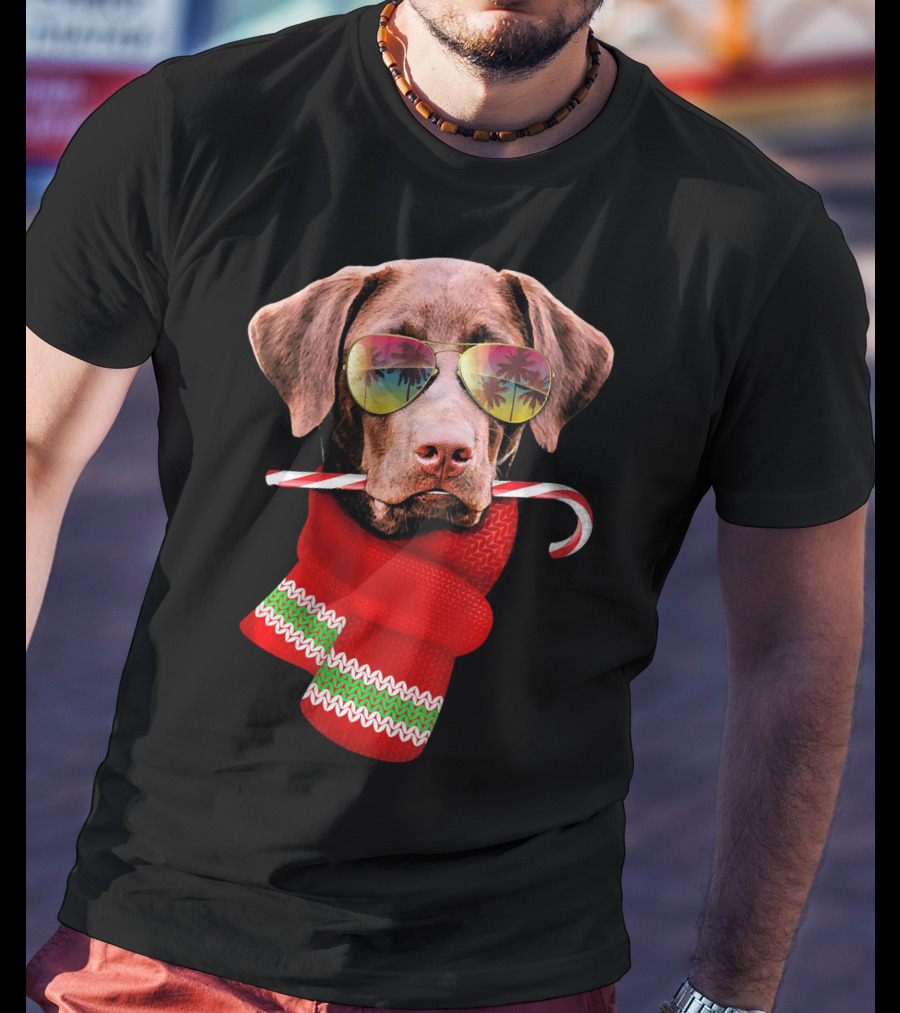 Christmas In July Labrador Sunglasses Candy Cane Scarf T-Shirt