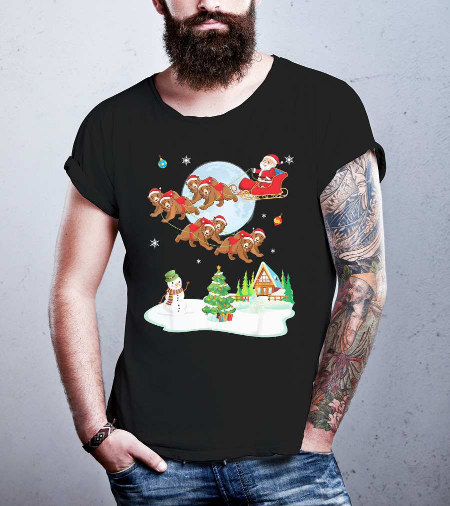 Santa Claus Sleigh With Bears And Snowman By Moonlit Cabin Noel T-Shirt