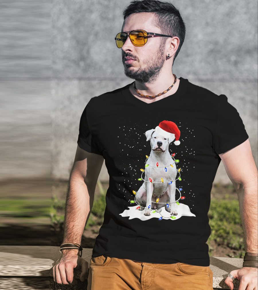 Dogo Argentino Christmas Lights Santa Hat Snow Holiday T-Shirt