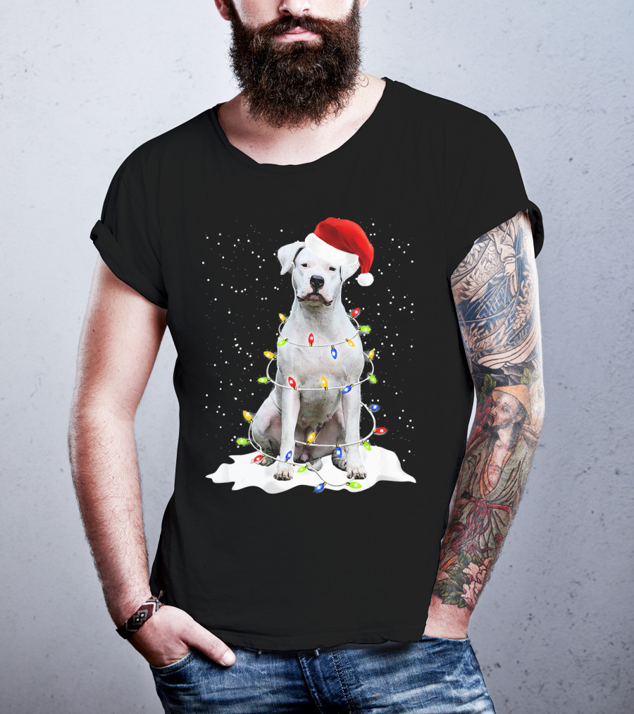 Dogo Argentino Christmas Lights Santa Hat Snow Holiday T-Shirt