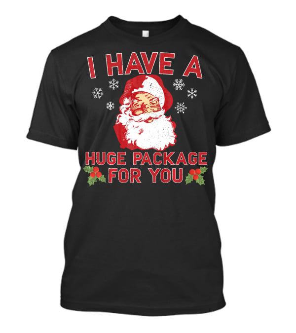 I Have A Huge Package For You Santa Christmas Snowflakes T-Shirt
