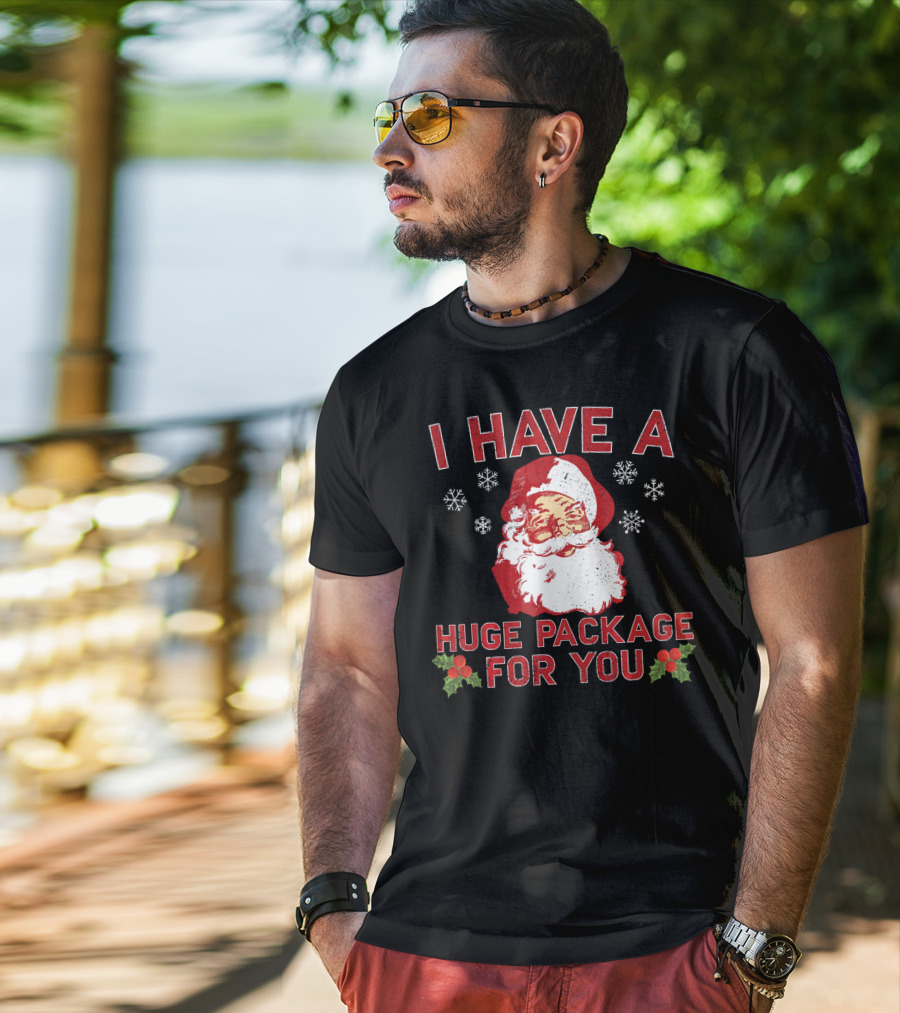 I Have A Huge Package For You Santa Christmas Snowflakes T-Shirt
