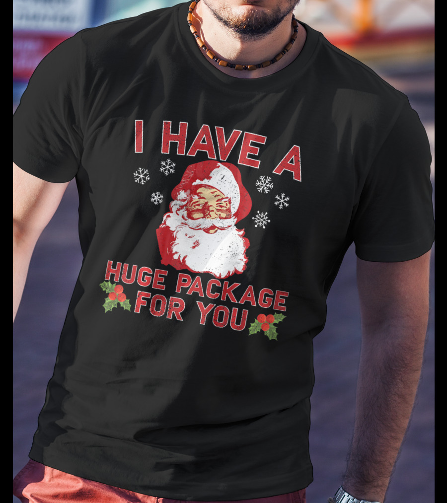 I Have A Huge Package For You Santa Christmas Snowflakes T-Shirt