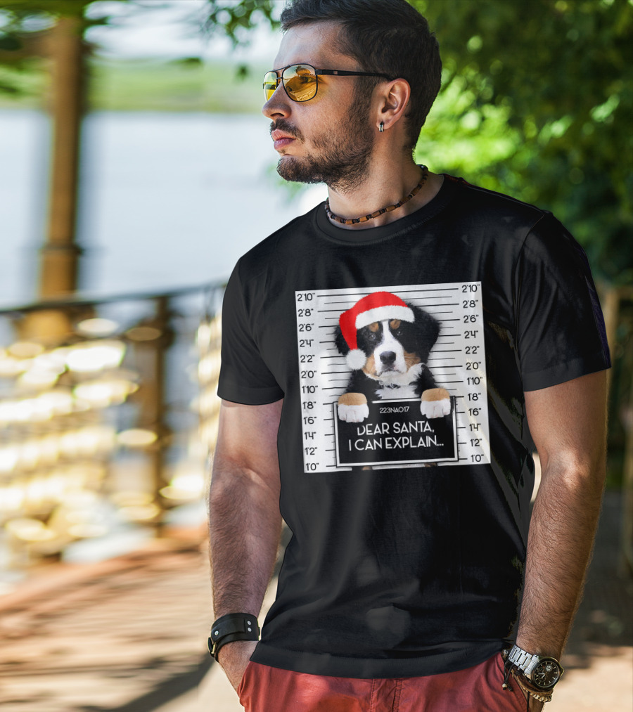 Xmas Bernese Mountain Dog Lover Santa Hat Dear Santa I Can Explain T-Shirt