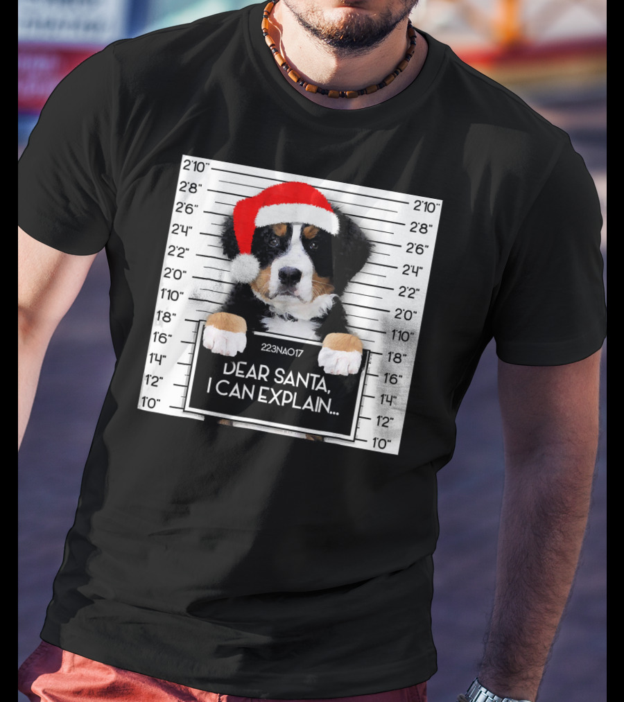 Xmas Bernese Mountain Dog Lover Santa Hat Dear Santa I Can Explain T-Shirt