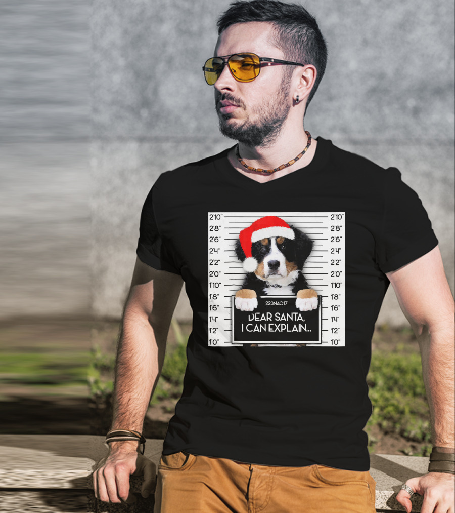 Xmas Bernese Mountain Dog Lover Santa Hat Dear Santa I Can Explain T-Shirt