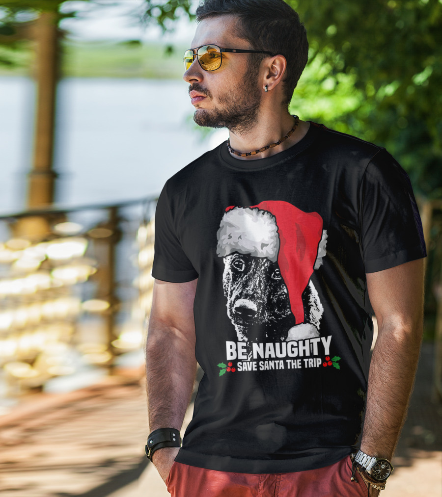 Be Naughty Save Santa The Trip Dutch Shepherd Christmas Santa Hat T-Shirt